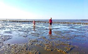 Deichoase Strandhaus